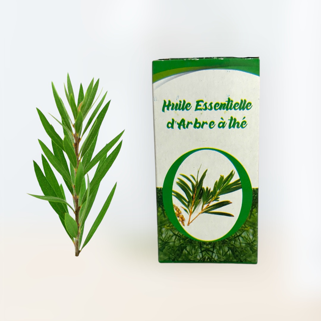 Huile Essentielle d'Arbre à Thé Al ASSILLE - Purifiant et Apaisant 10ml