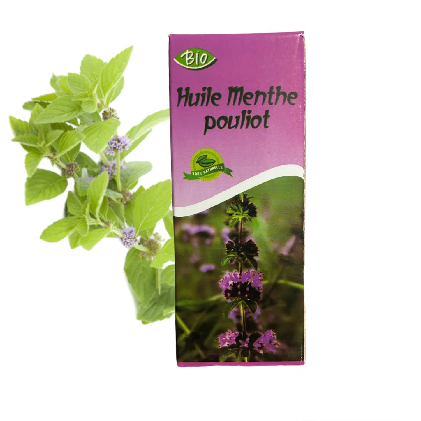 Huile de Menthe Pouliot BIO 60ml AL ASSILLE